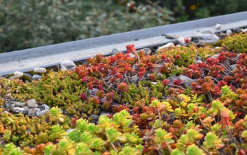 the cost of Frizington green roof installation